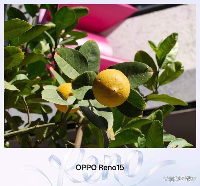 6.3英寸+6000mAh续航怪兽! OPPO Reno15手机全面测评