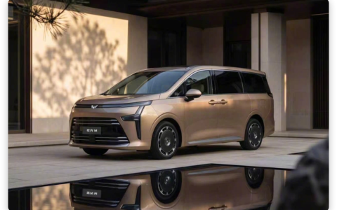 别硬冲 20 万 MPV，五菱“亮剑”！15万元左右
