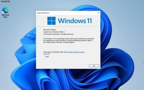 win11电脑分屏怎么设置 win11电脑分屏设置方法[多图]
