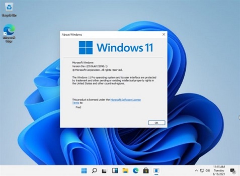 win11电脑分屏怎么设置 win11电脑分屏设置方法[多图]