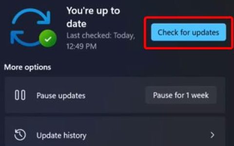 win11更新卡在0%怎么办 win11更新卡在0%解决方法[多图]