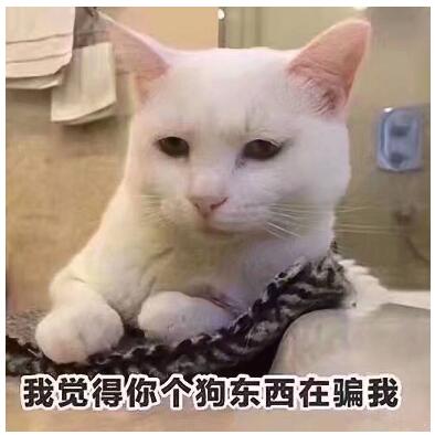 电脑开机密码怎么破解-电脑忘记开机密码解决方法大全(总有一个你能学会)