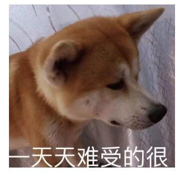 电脑开机密码怎么破解-电脑忘记开机密码解决方法大全(总有一个你能学会)