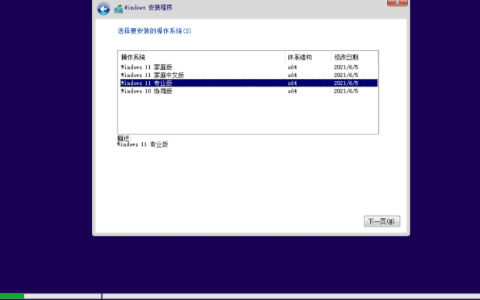 asus华硕u盘重装win11教程 小白系统官网[多图]