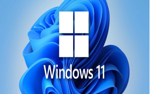 最新win11专业版永久激活密钥[多图]