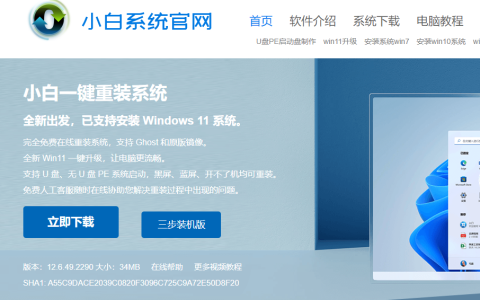 Win11电脑系统安装教程[多图]