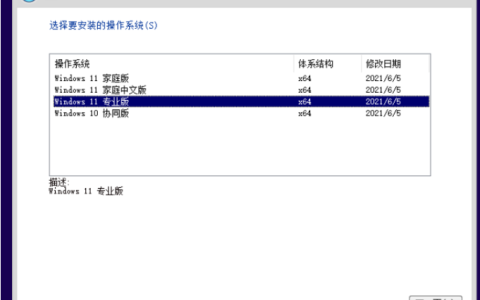 电脑怎么重装系统win11最简单[多图]