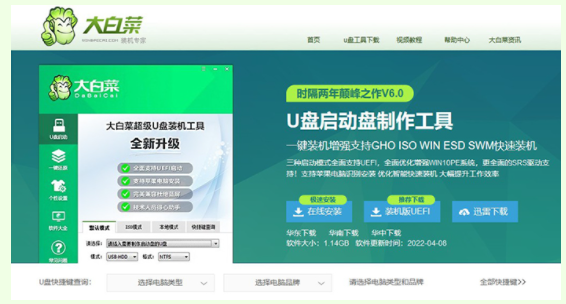 大白菜官网win11下载安装教程[多图]