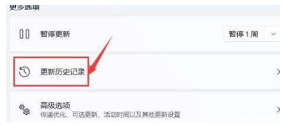 重置电脑win11黑屏了咋办[多图]