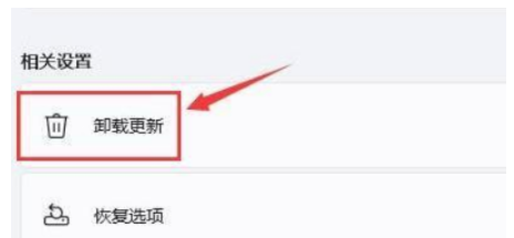 重置电脑win11黑屏了咋办[多图]