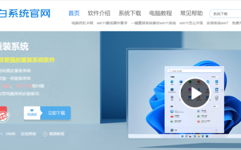 win11系统 小白一键重装系统打不开这个软件怎么办[多图]