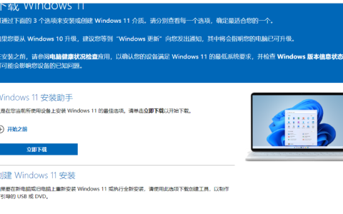 win11iso 小白系统教你如何下载与安装[多图]