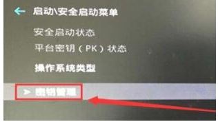 升级win11安装启动怎么开启[多图]