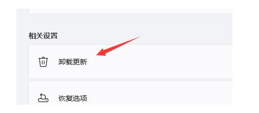 解决win11打开浏览器黑屏闪屏[多图]