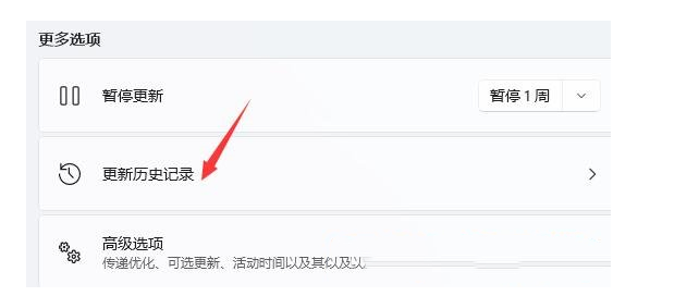 解决win11打开浏览器黑屏闪屏[多图]