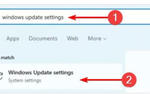 win11摄像头打开黑屏怎么办[多图]
