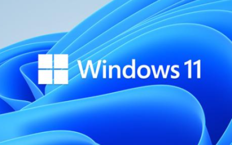 win11系统有什么要求吗