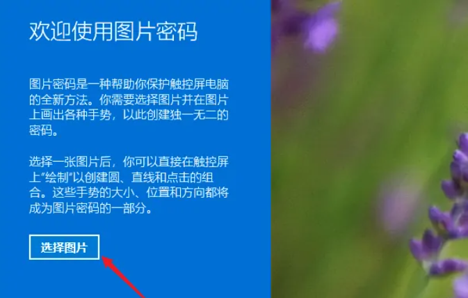 win11设置图片密码教程[多图]
