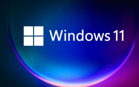 dell电脑win11多少钱分享[多图]