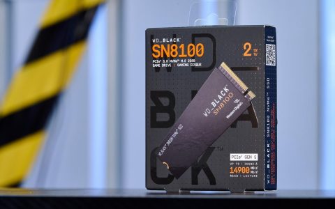 闪迪WD?BLACK SN8100 NVMe PCIe Gen5固态硬盘评测：打开性能狂潮的大门