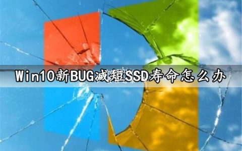 Win10新BUG减短SSD寿命怎么办 这么做轻松解决它