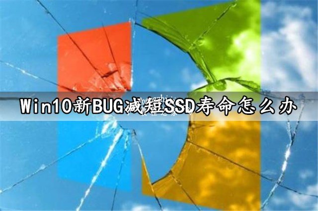 Win10新BUG减短SSD寿命怎么办