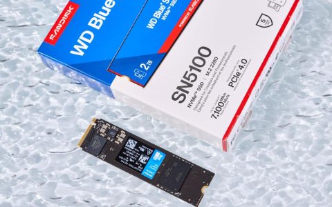闪迪WD Blue SN5100 2TB NVMe SSD 深度评测：QLC闪存的性能新标杆